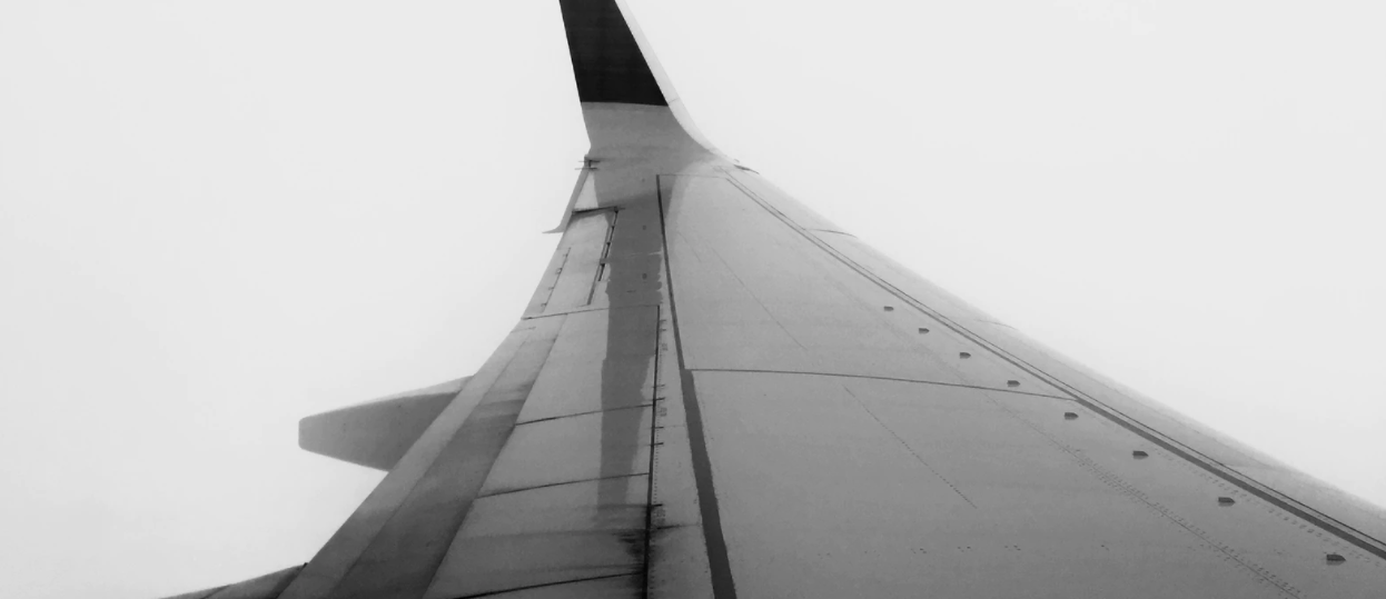 plane on wing