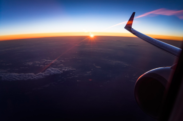 Travel Management Company