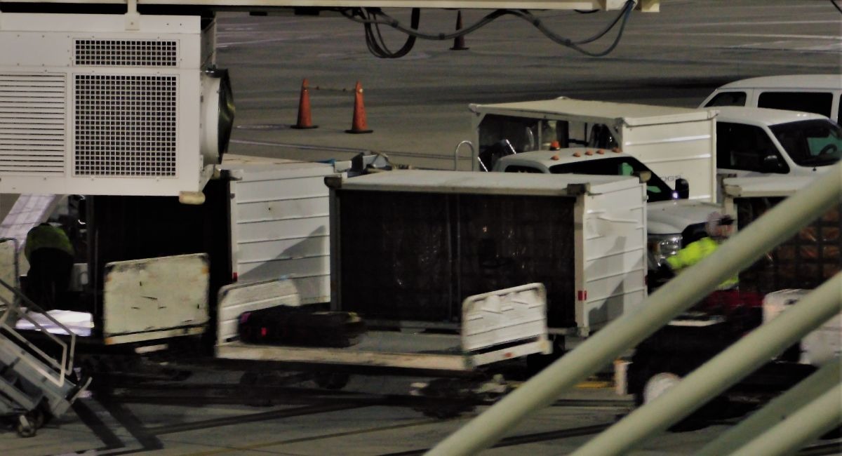 An airport scene at night shows workers in blurry motion loading luggage onto carts